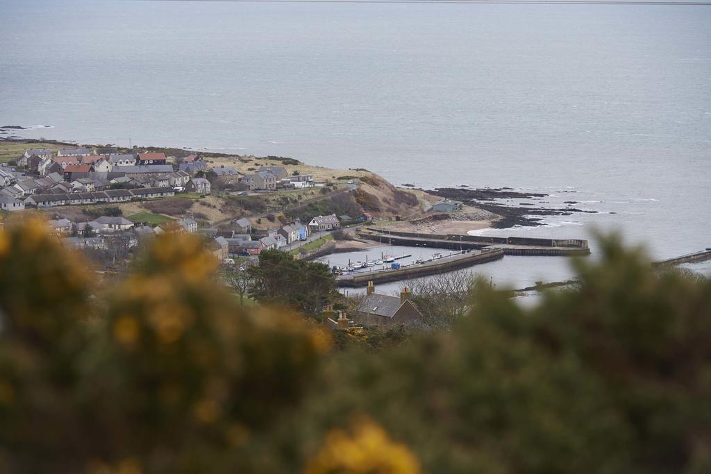 Piper'S Cave Bed And Breakfast Helmsdale Exterior foto